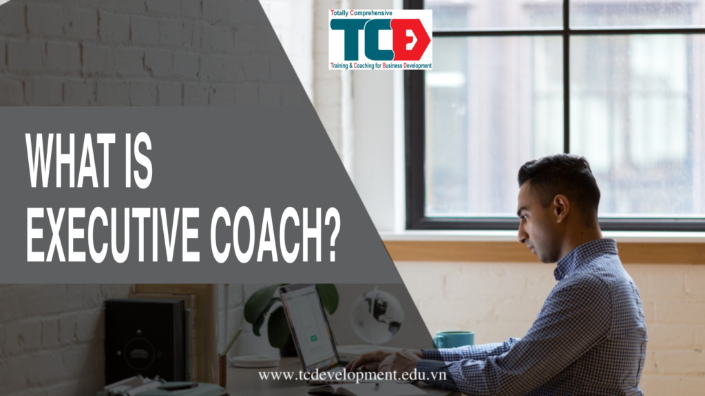 what is executive coach